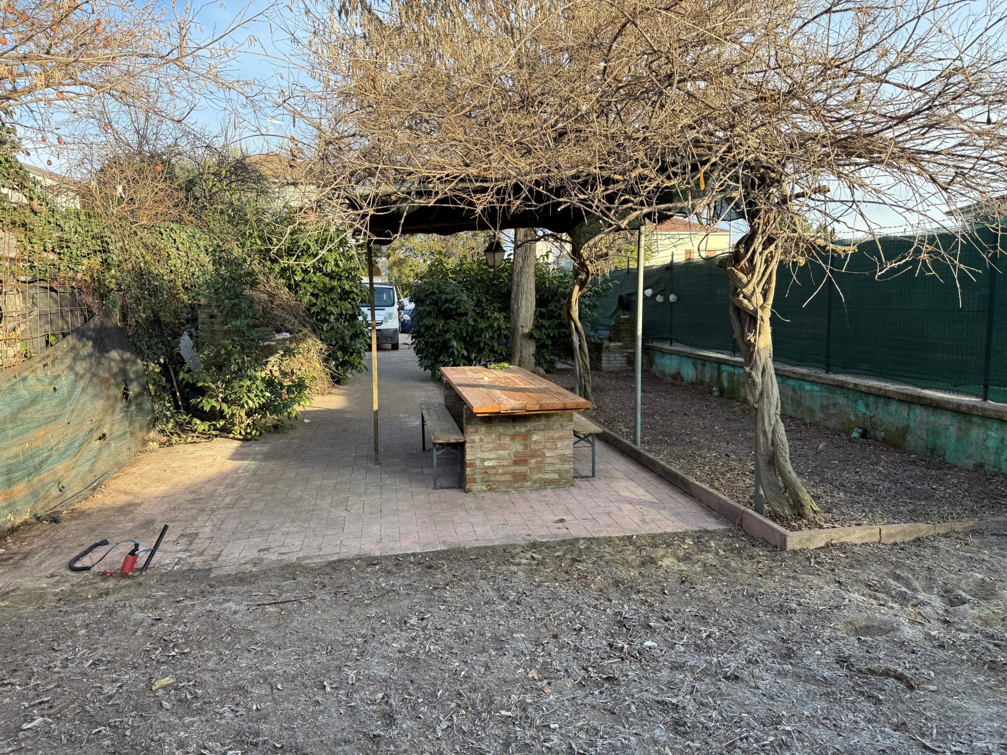 WhatsApp Image 2026-01-10 at 10.26.02