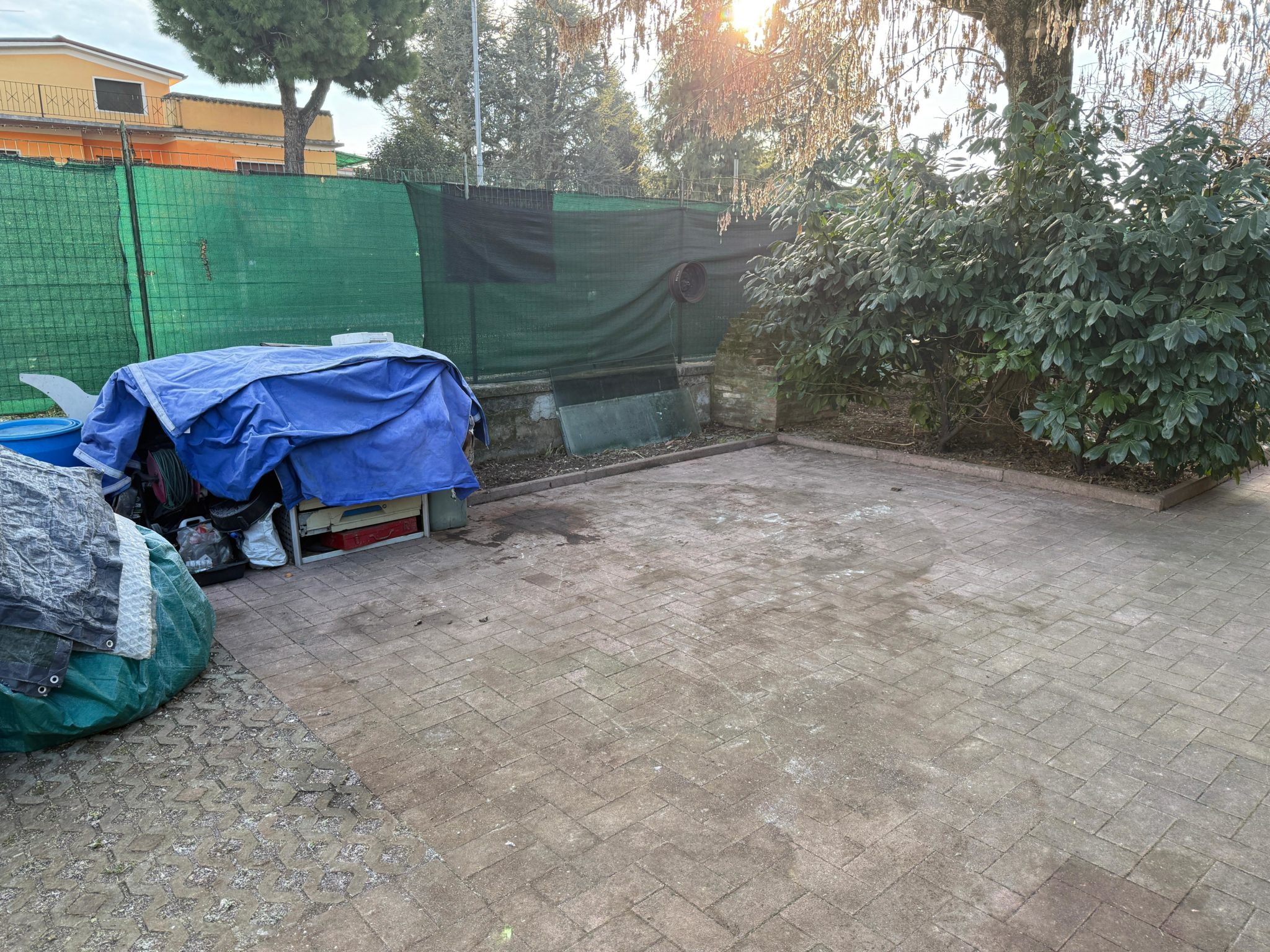 WhatsApp Image 2026-01-10 at 10.26.02 (4)